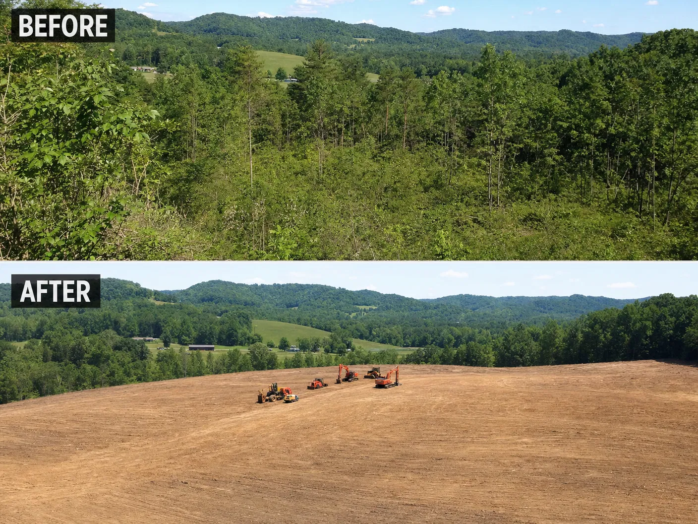 Land Clearing