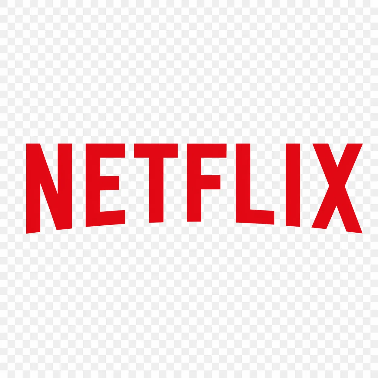 Netflix Subscription