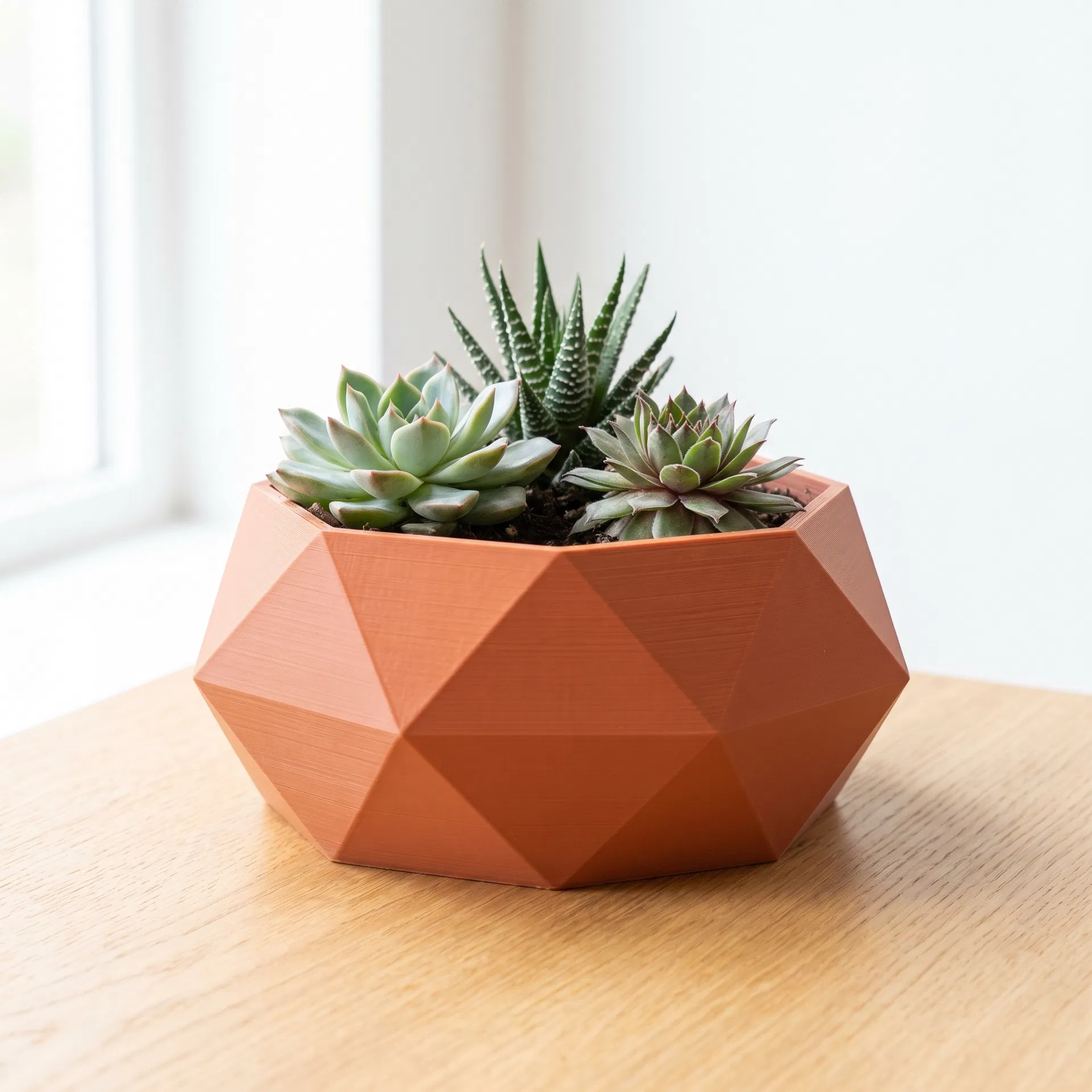 Geometric Succulent Planter — Terracotta
