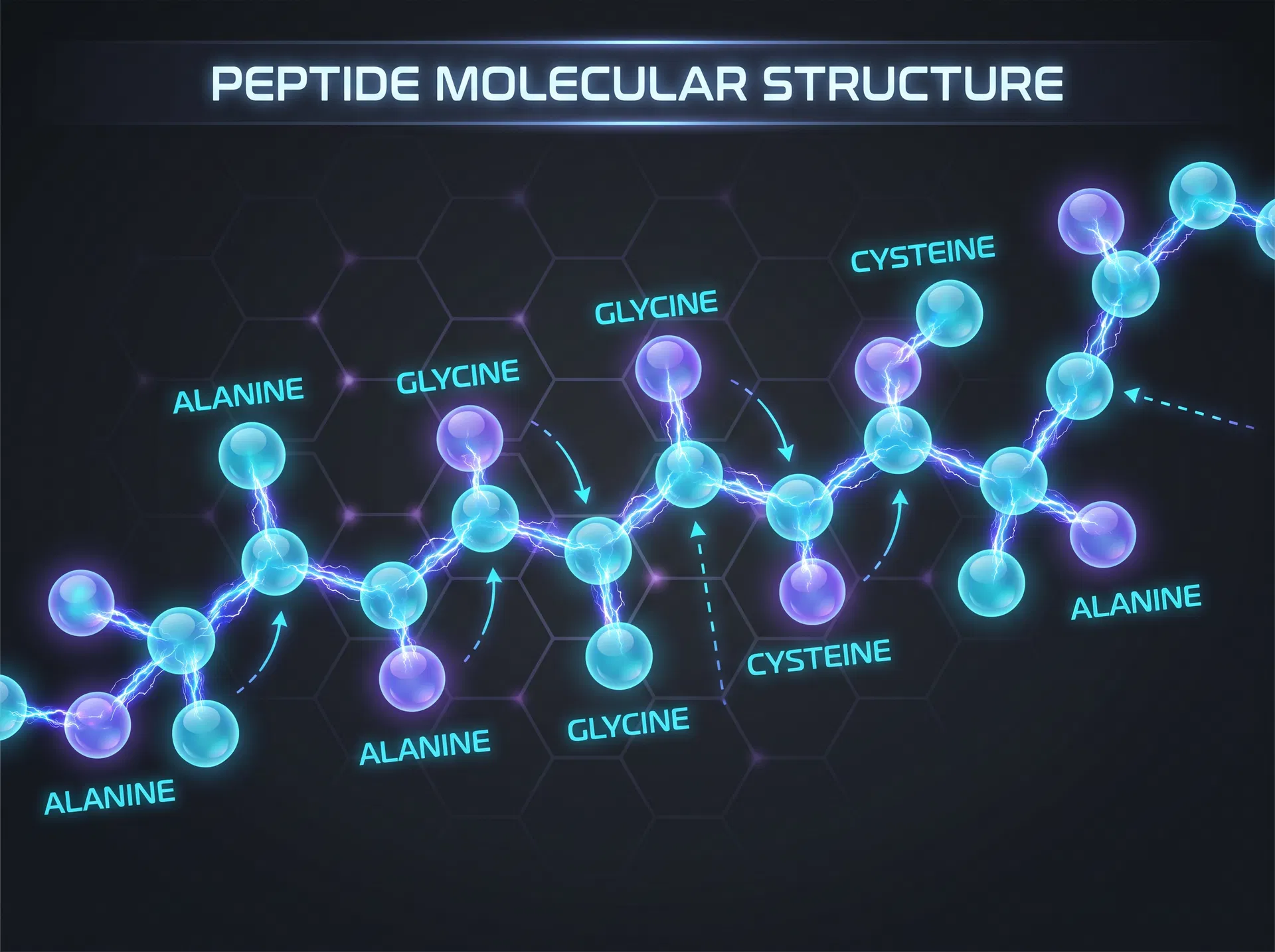 What Are Peptides?