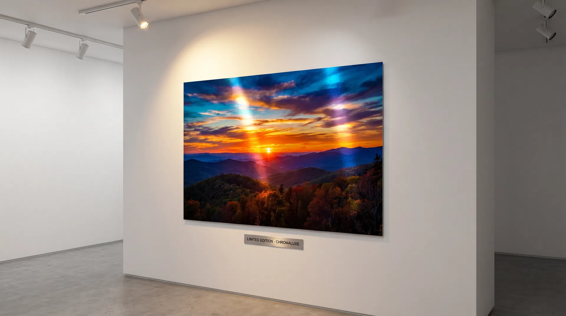 Premium metal photo print on white wall showing vibrant colors and metallic sheen