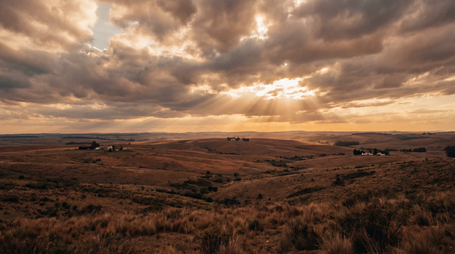 Country intelligence