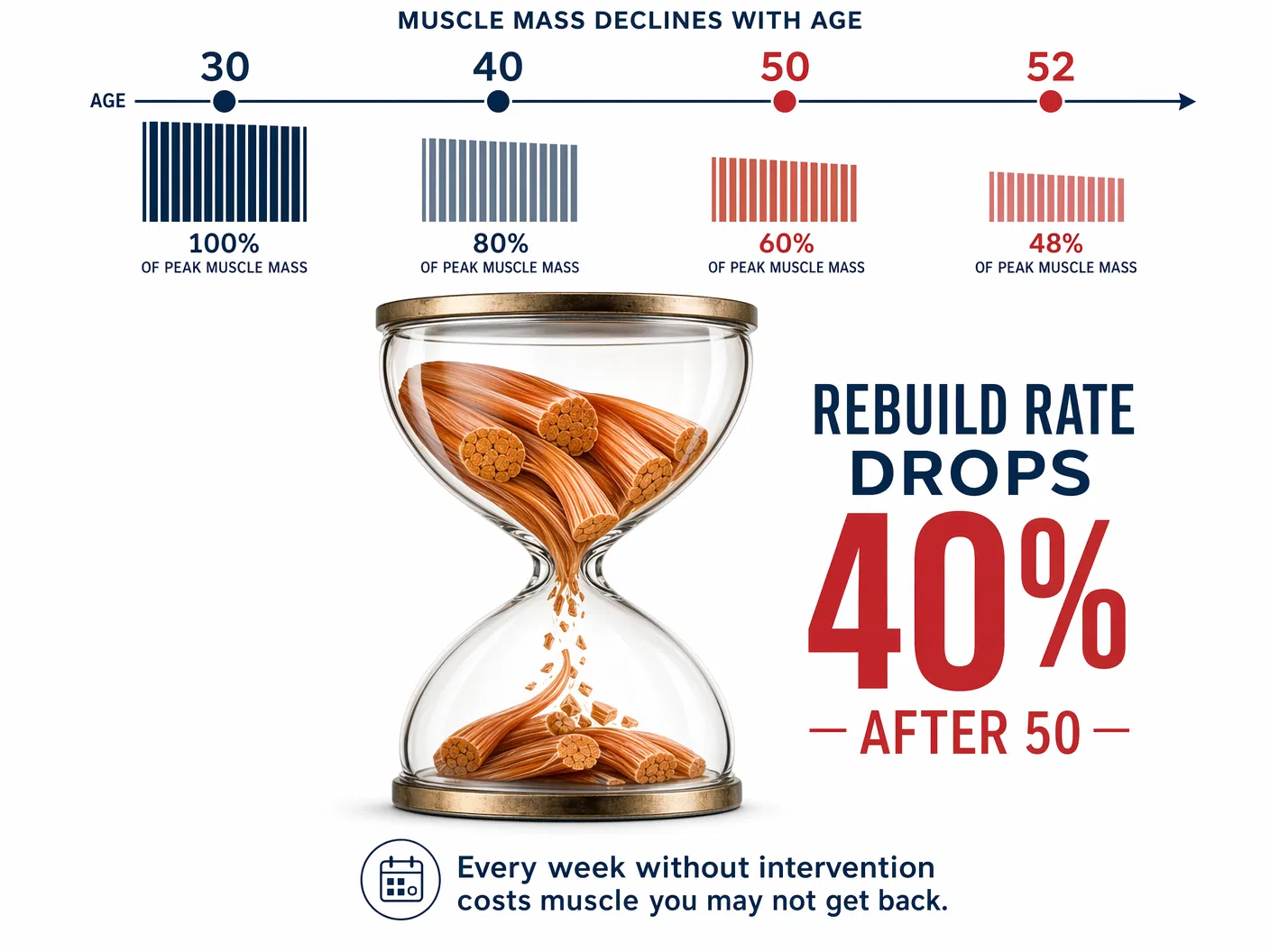 Hourglass infographic showing muscle loss over time with 'Rebuild rate drops 40% after 50' data overlay