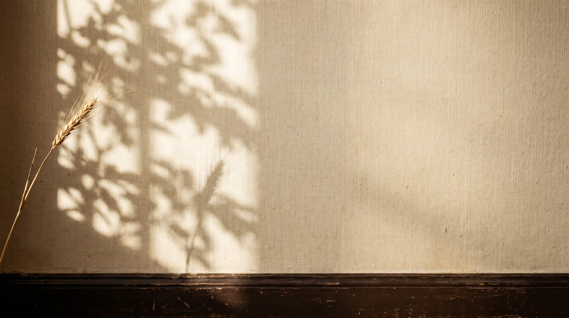 Soft window light through linen — texture, shadow, and stillness.
