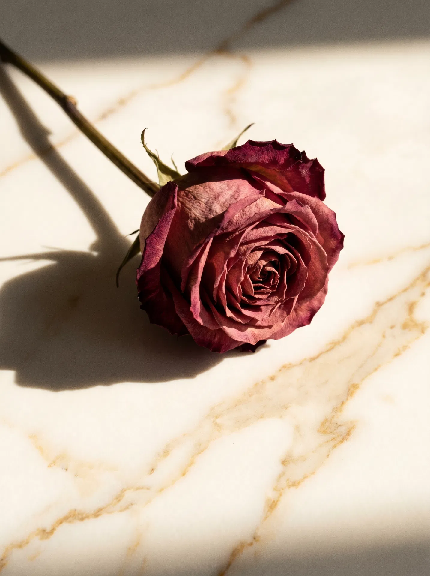 Micropigmentação de Lábios