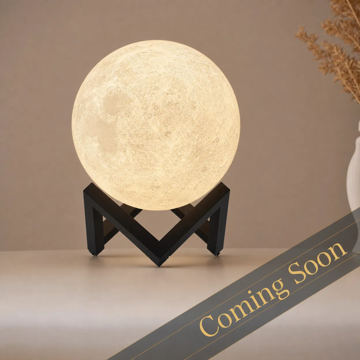 Stevie's Mini Moon