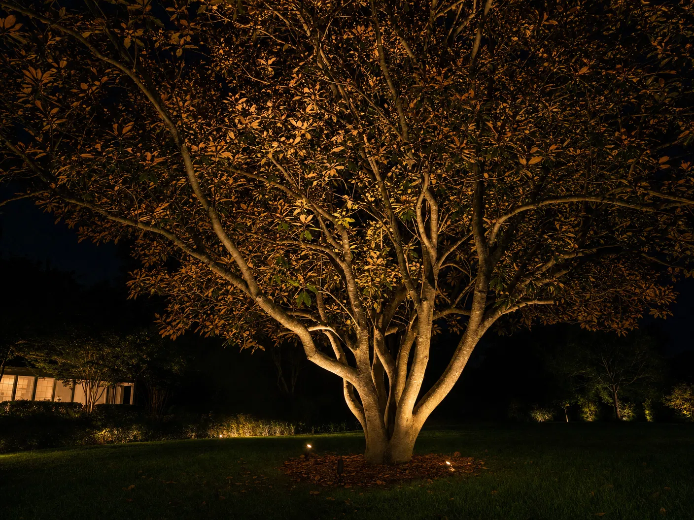 Uplighting