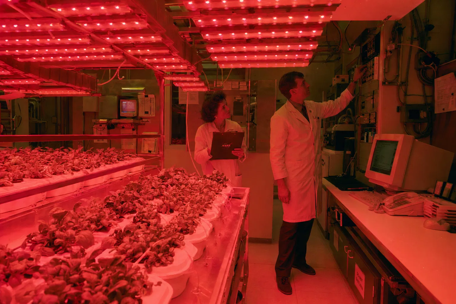 Interior of a NASA research lab in the 1990s with plants growing under red LED light arrays and scientists in lab coats.