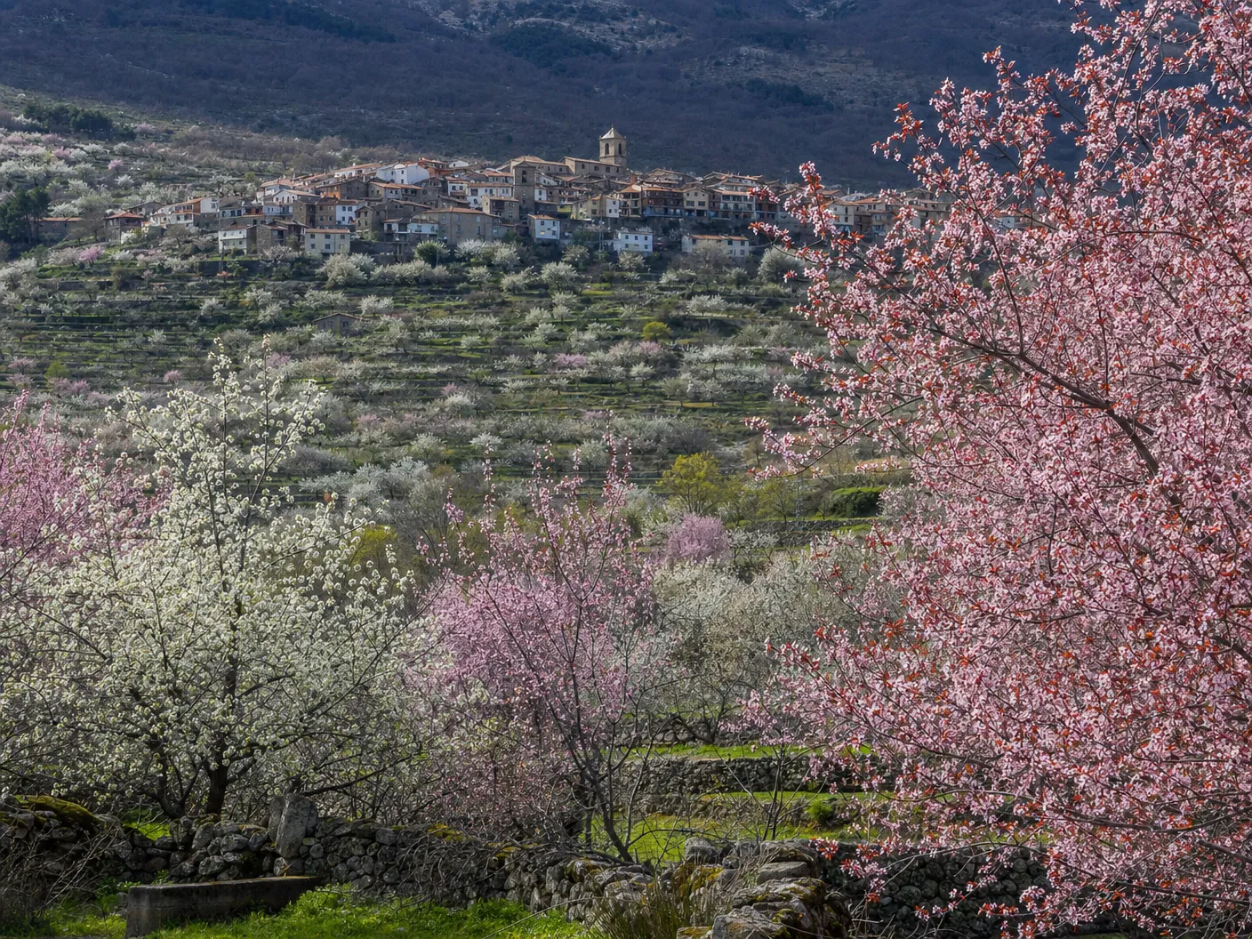 Extremadura
