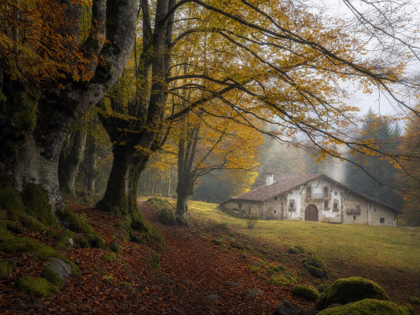 Navarra