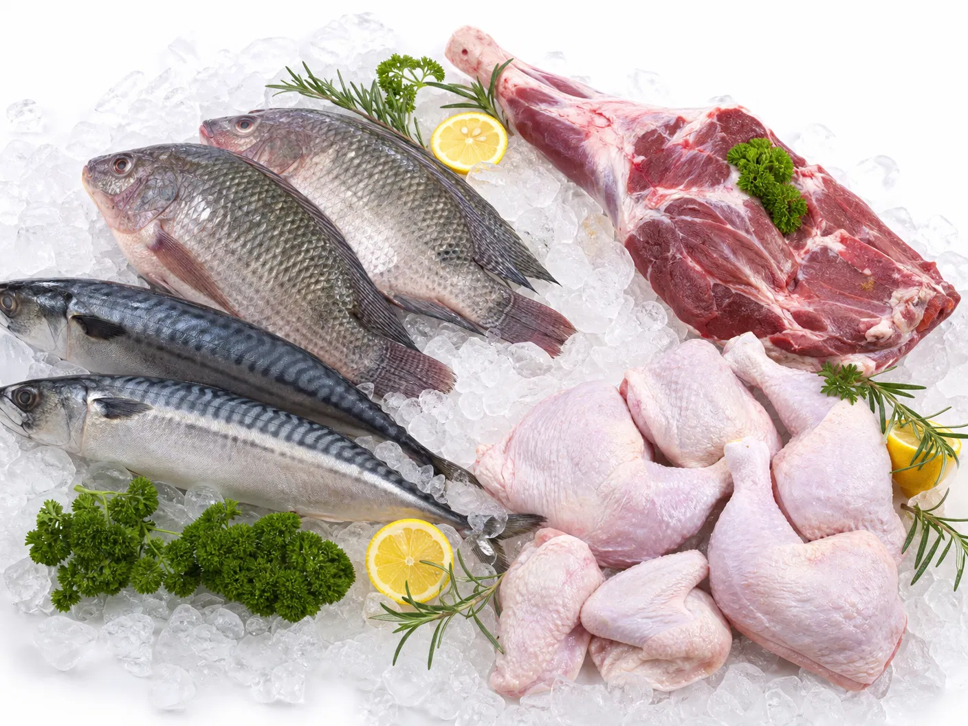 Frozen Fish & Meat