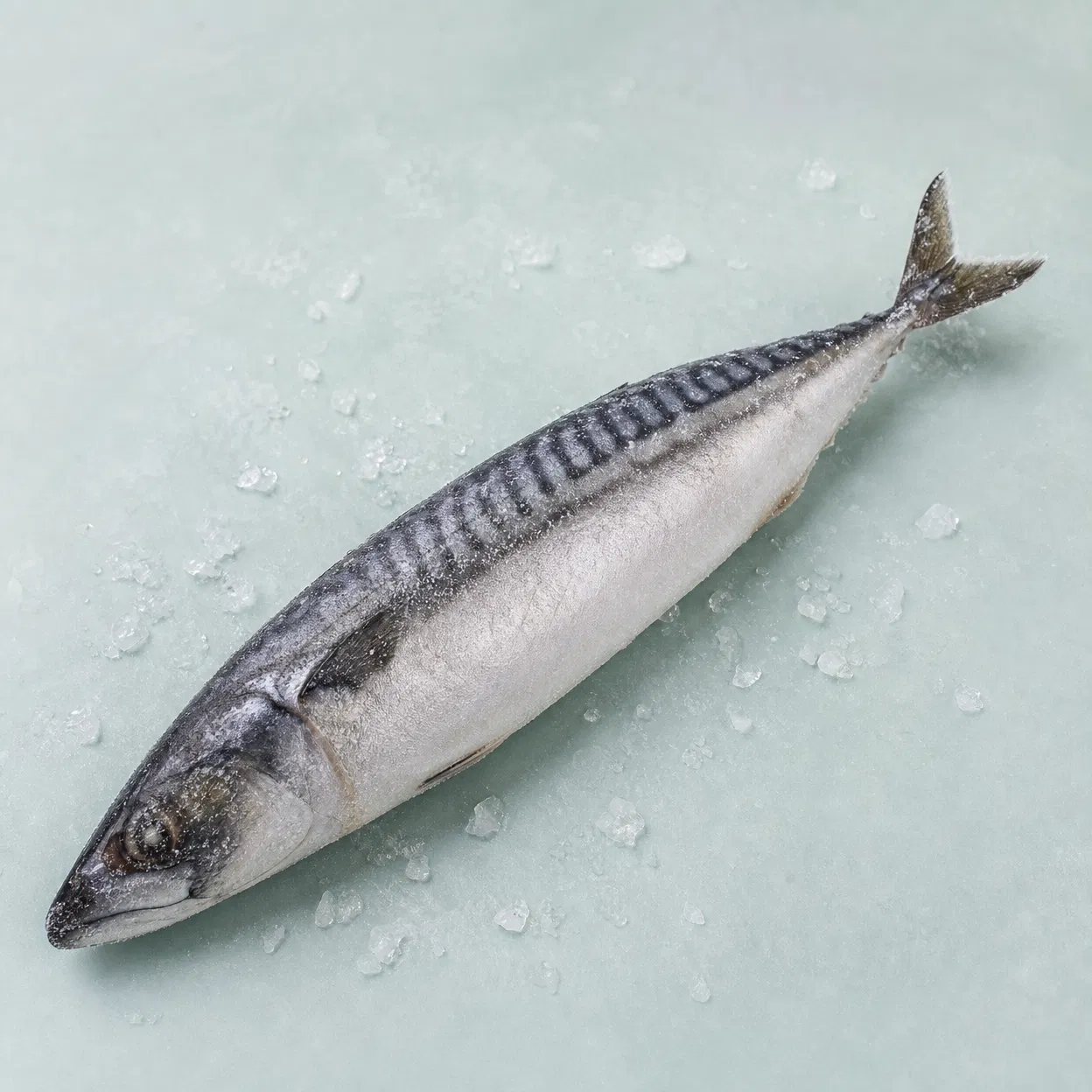 Frozen Mackerel