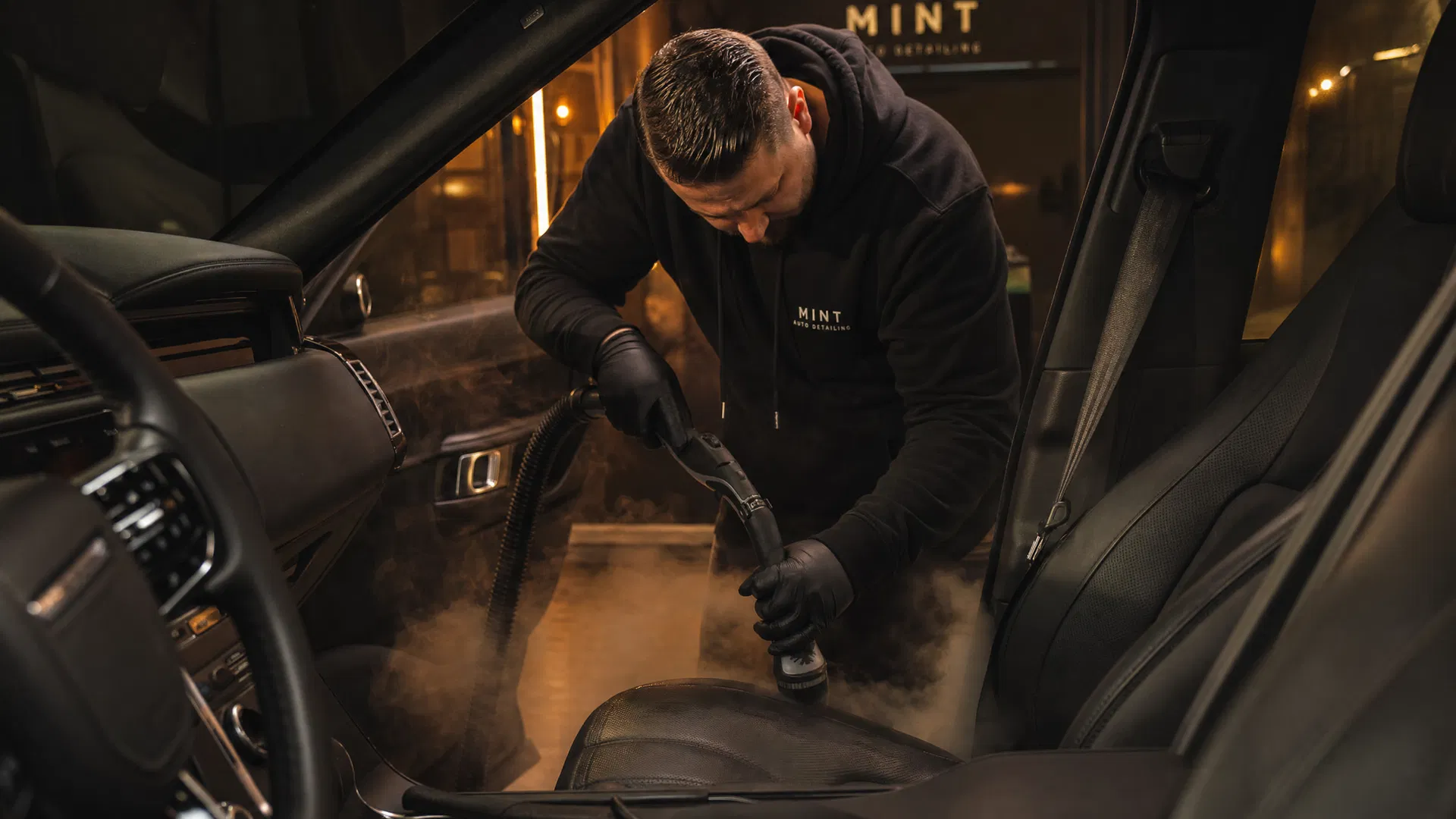 Professional detailing
