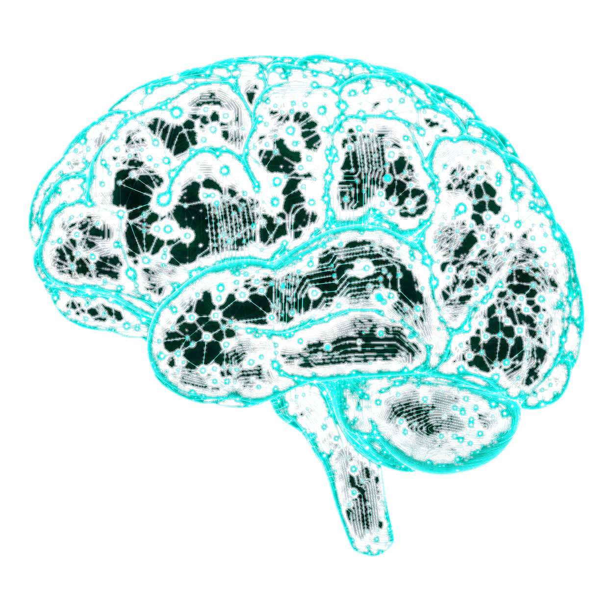 Maxi AI Brain