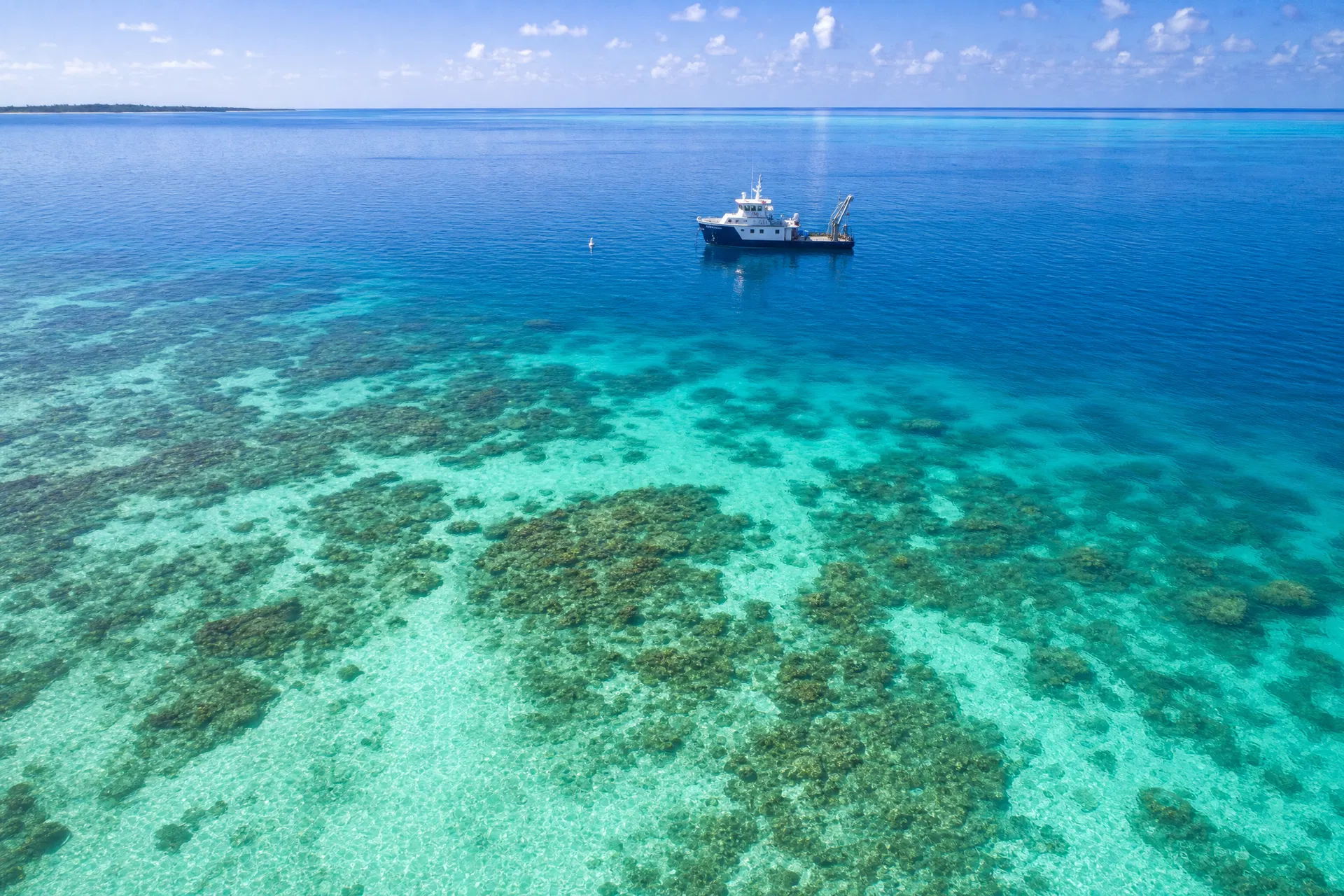 Aerial view of marine survey area