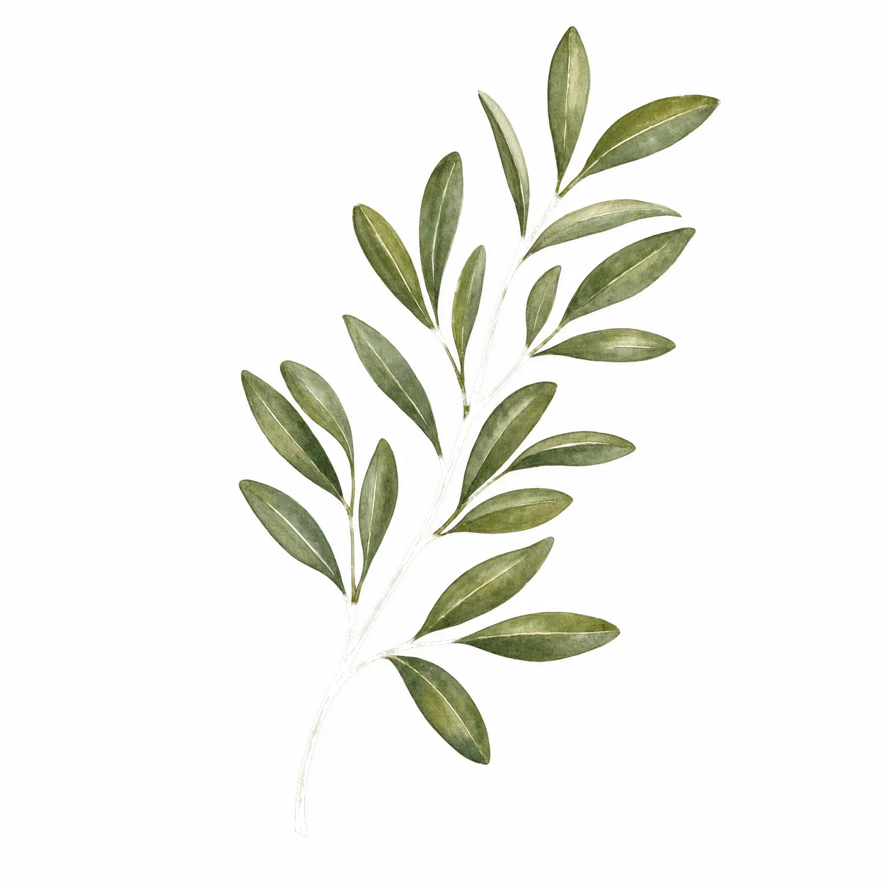 Botanical leaf accent