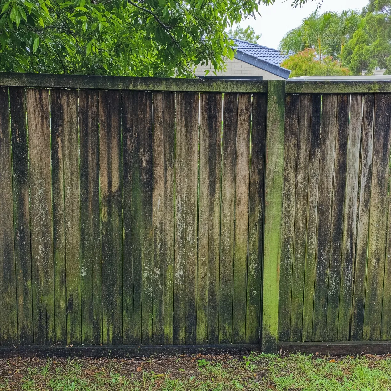Weathered fence before cleaning