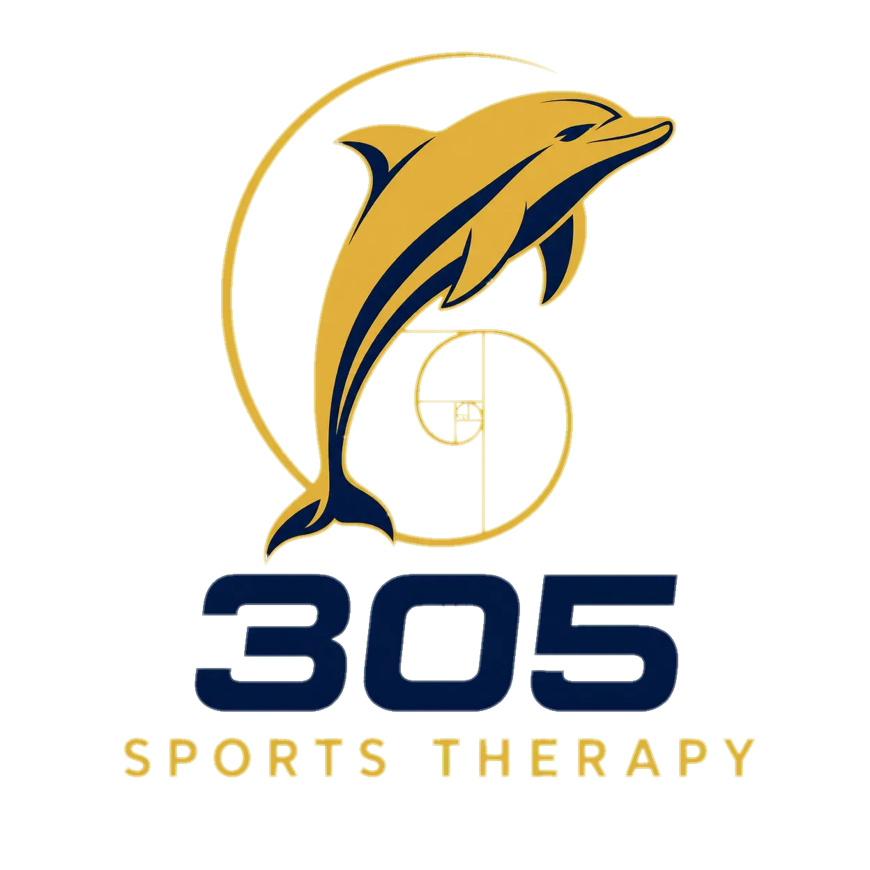 305 Sports Therapy