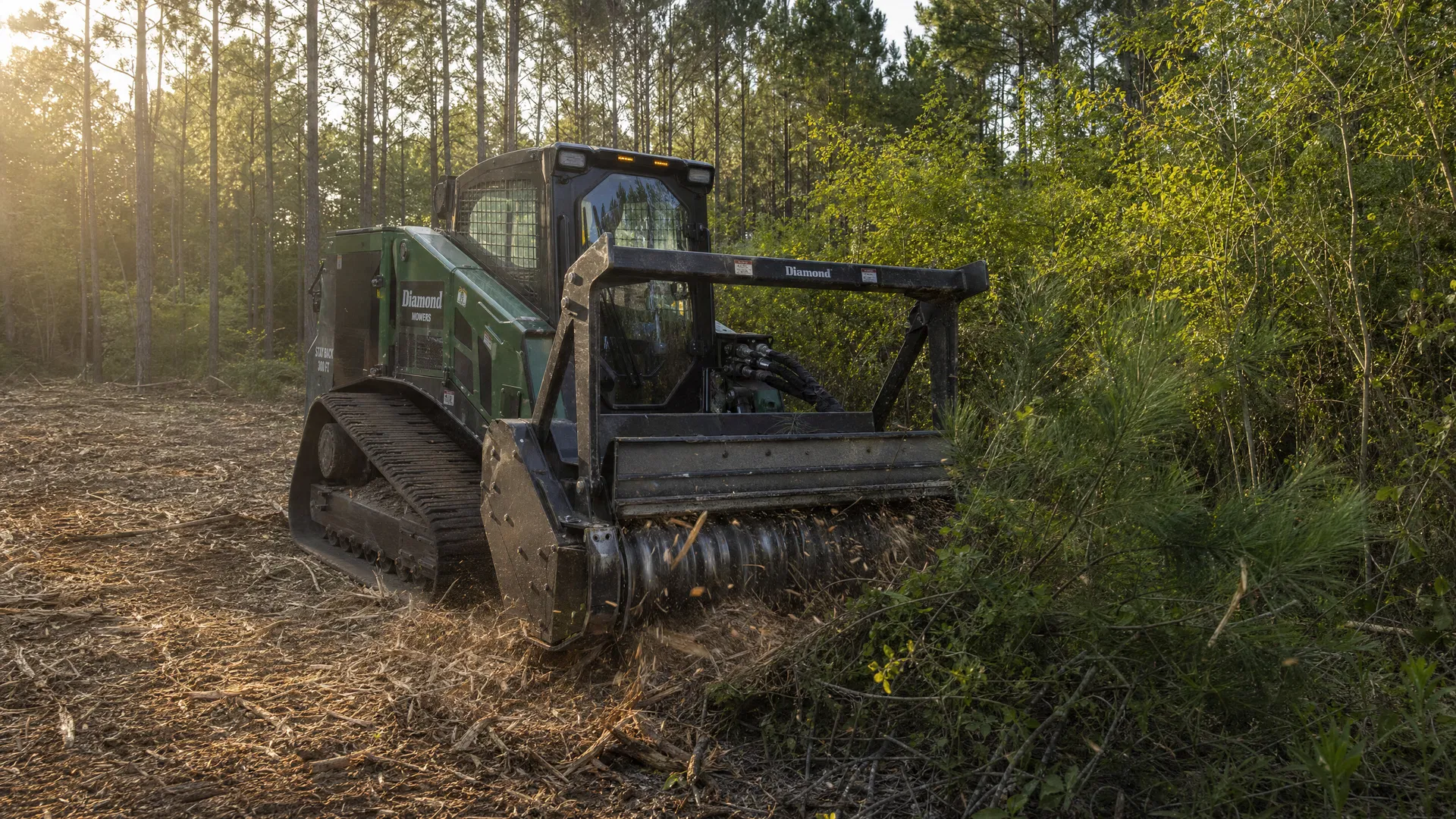 Forestry Mulching Cost in East Texas: What to Expect for Your Project — Republic Remodeling and Construction East Texas
