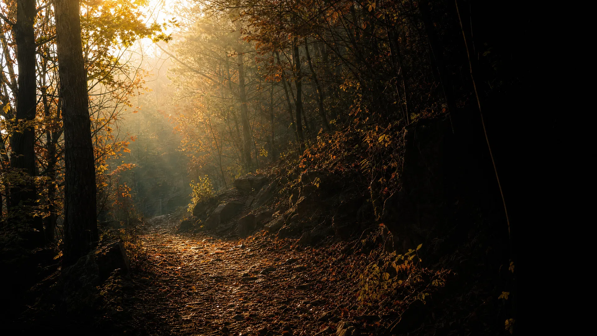 Adult walking outdoors — sustainable movement and healthy lifestyle — The Diet Rebel