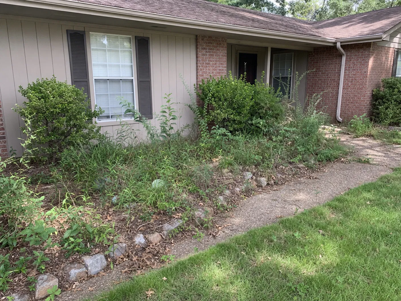 Before landscaping work showing an overgrown flower bed and uneven front walkway area