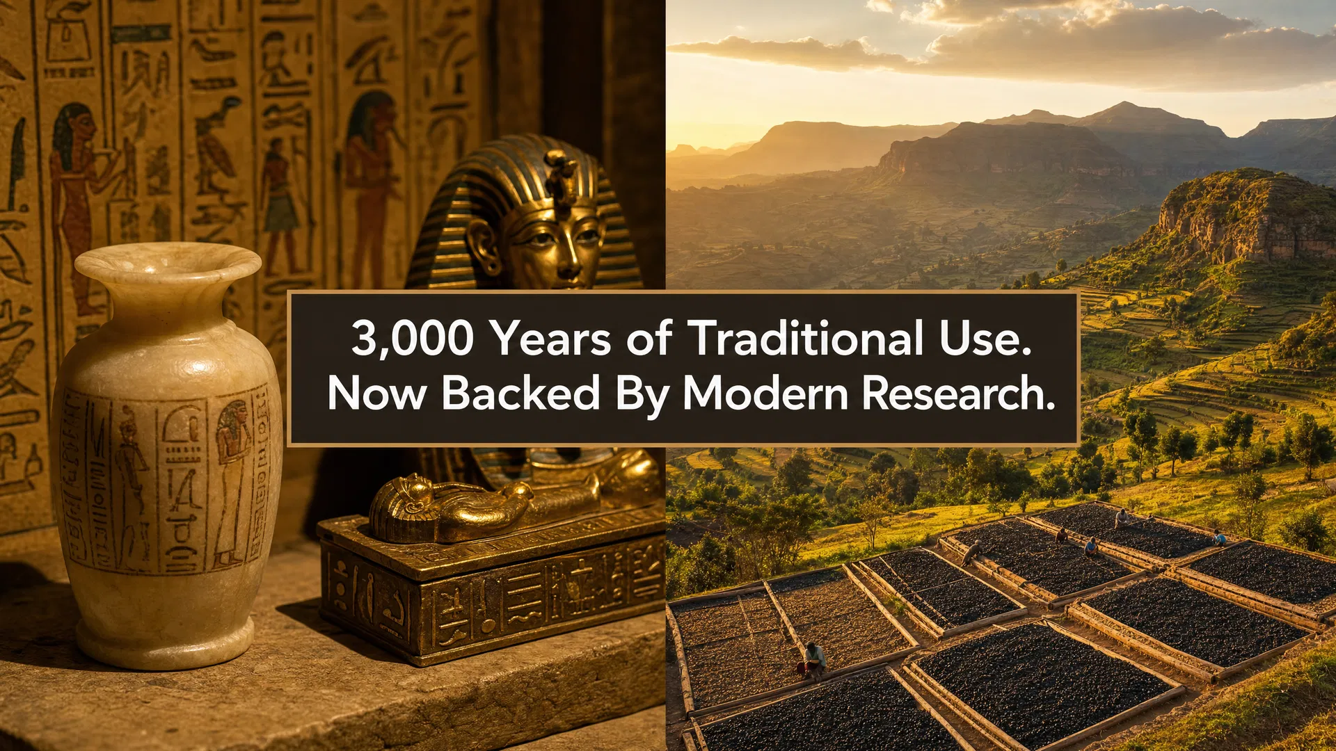 3,000 Years of Traditional Use — Egyptian artifacts and Ethiopian highlands black seed cultivation