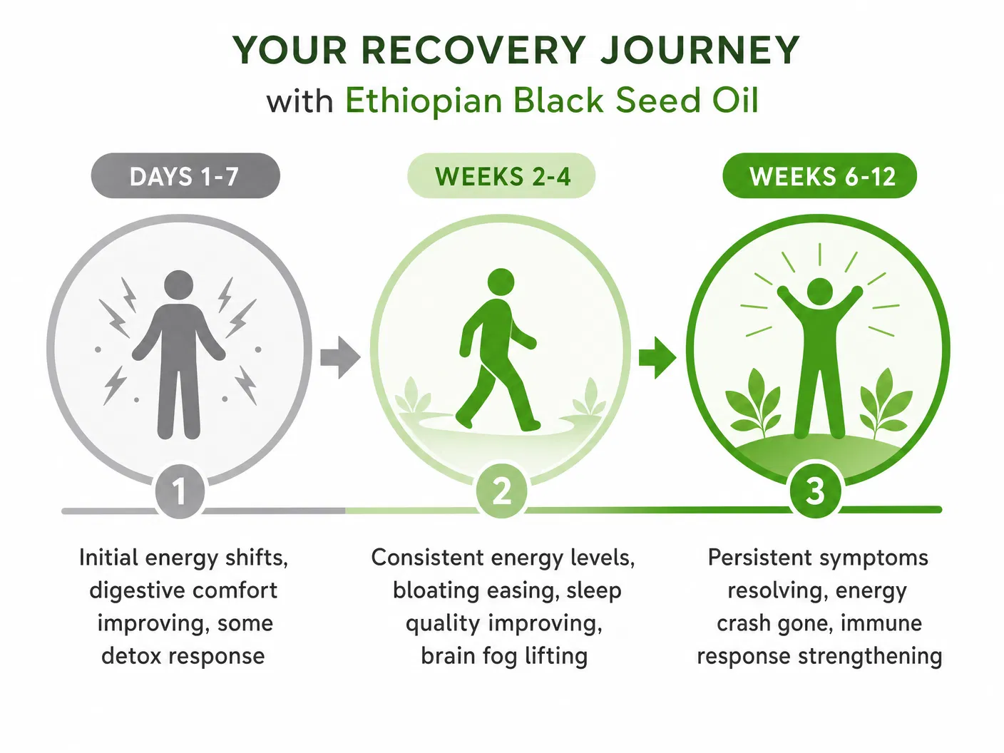 Recovery journey timeline: Days 1-7, Weeks 2-4, Weeks 6-12