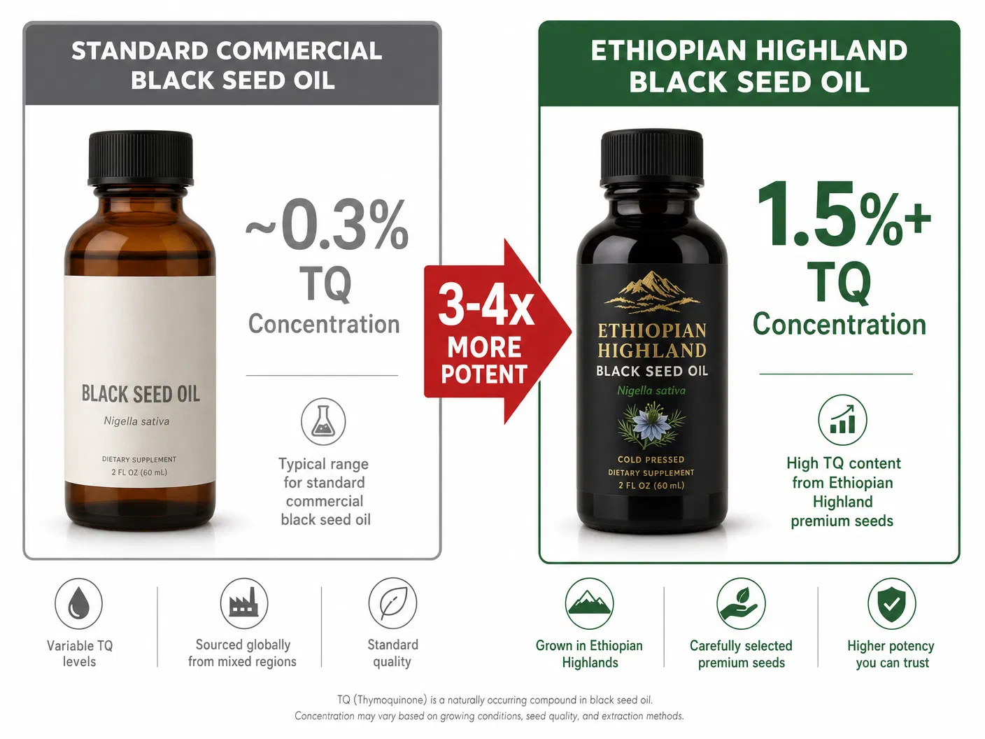 Side-by-side comparison of standard commercial black seed oil TQ concentration vs Ethiopian highland black seed oil