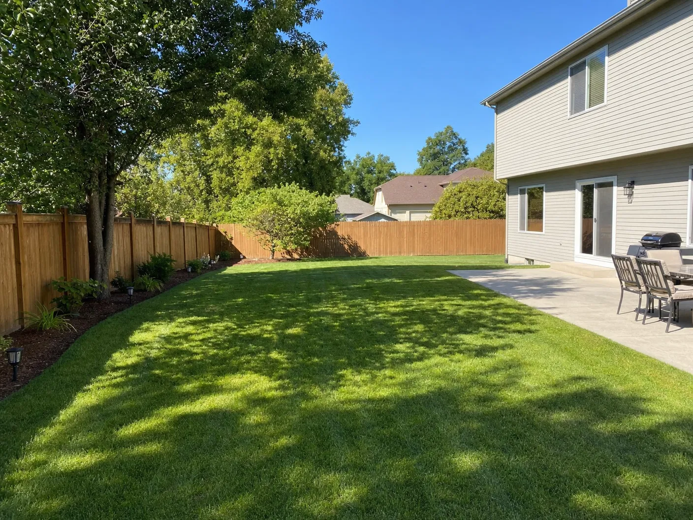 After - Clean backyard