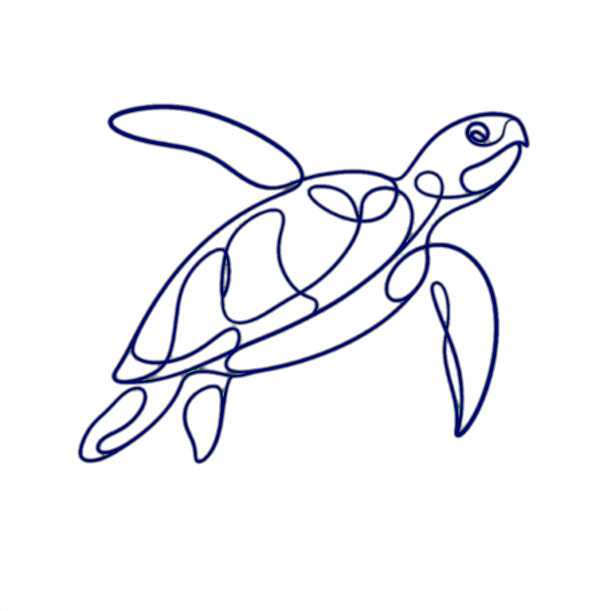 Turtle Boys Services