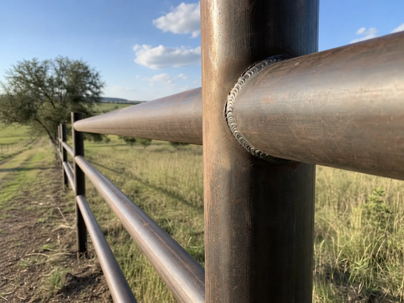 Welded Ranch Fence