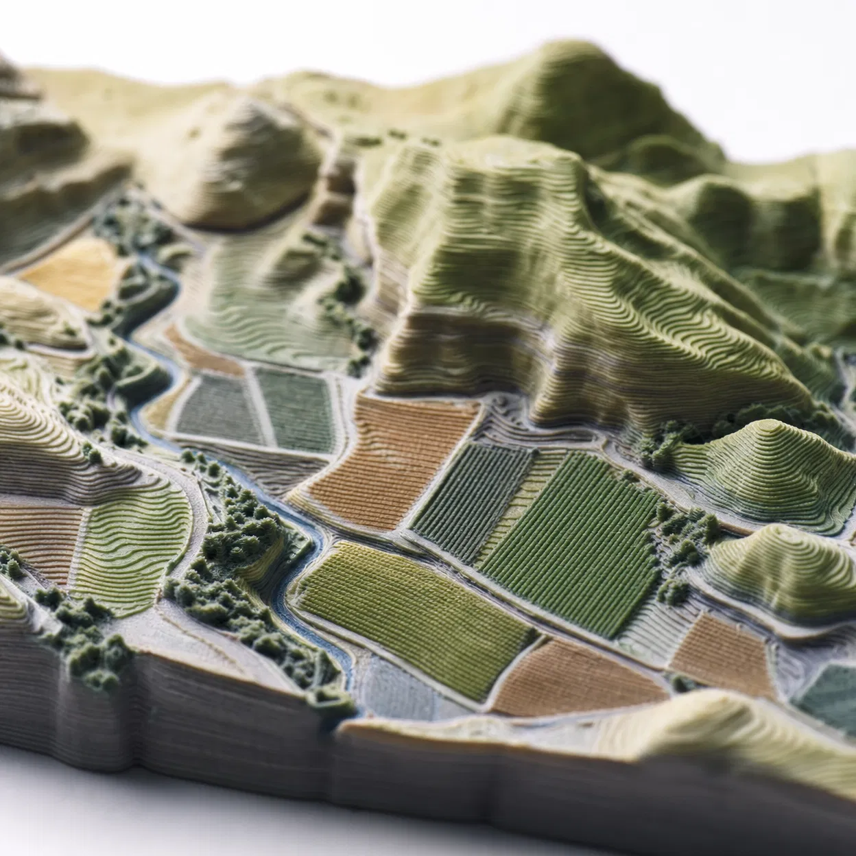 Detalle del relieve 3D