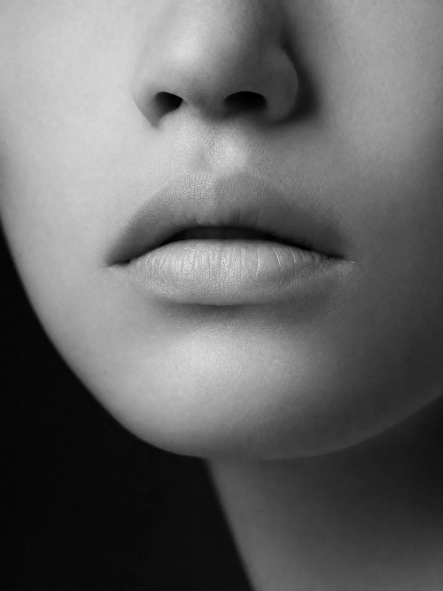 Artistic portrait — refined features
