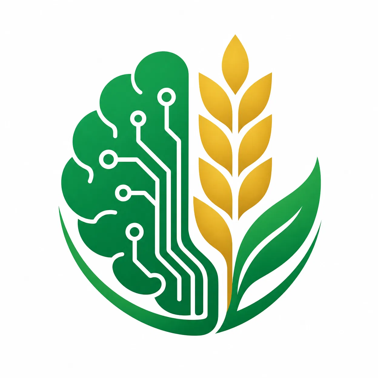 IA Icon