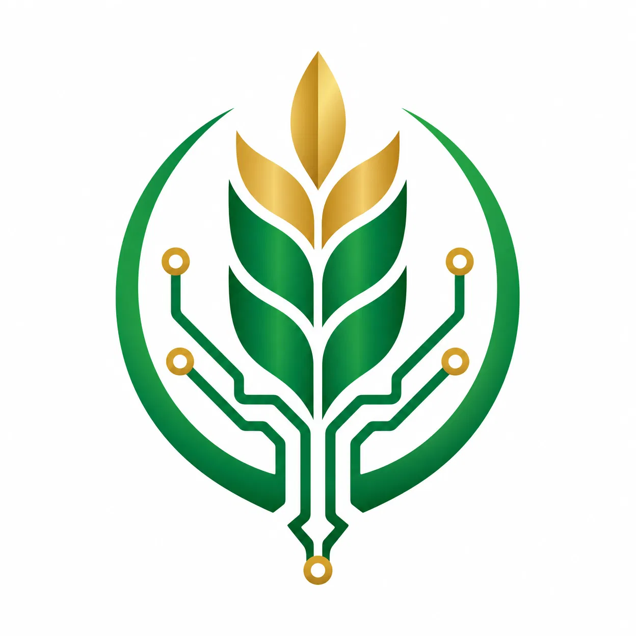 Paschoalotto Logo