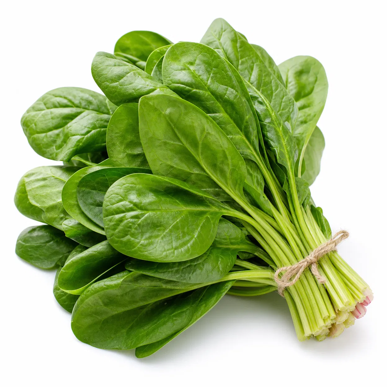 Fresh Spinach Bundle