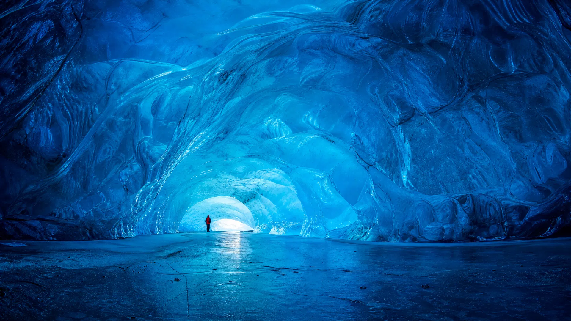 Antarctica: Emperor Penguins & Blue Ice 1