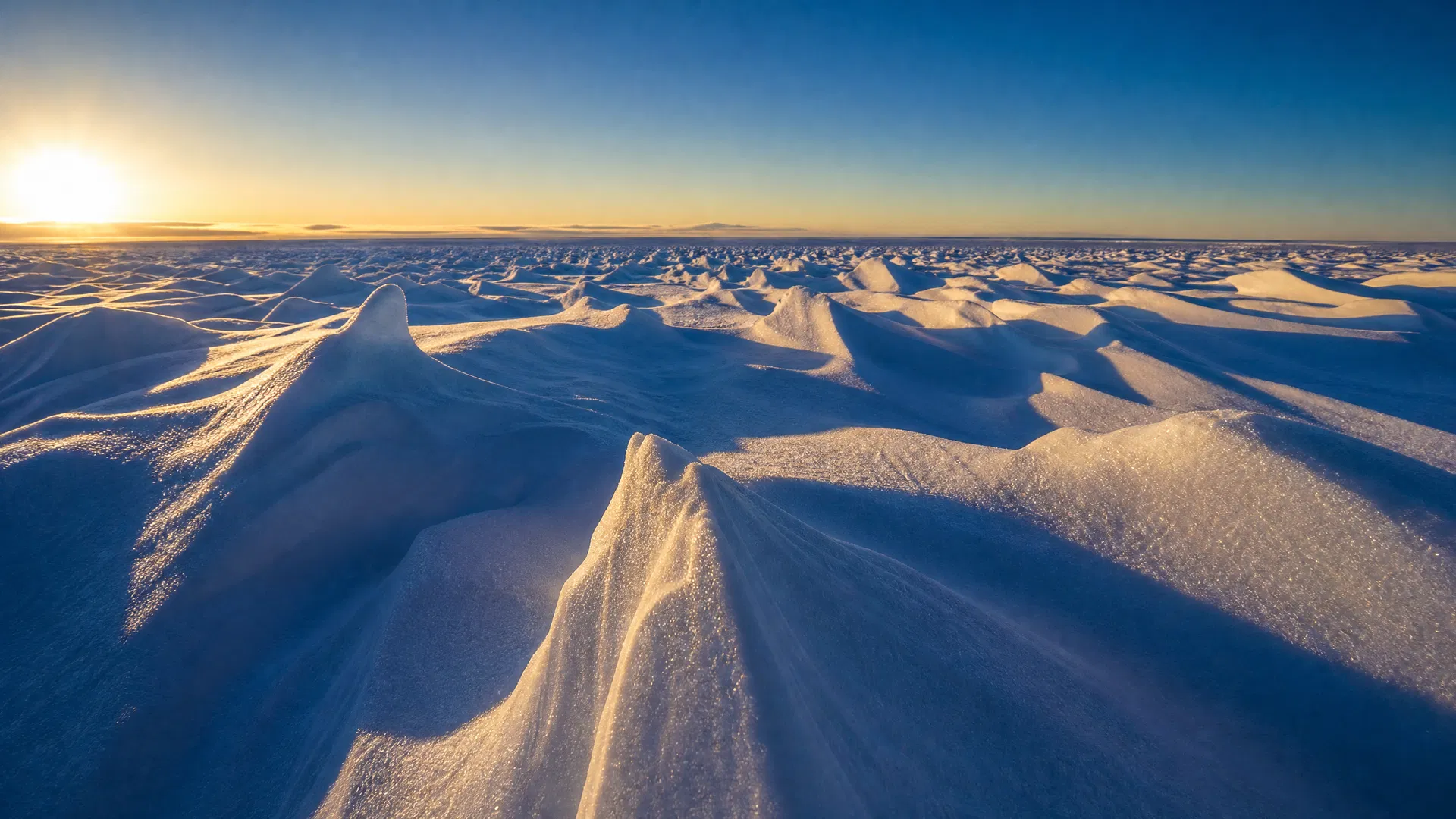 Antarctica: Emperor Penguins & Blue Ice 15