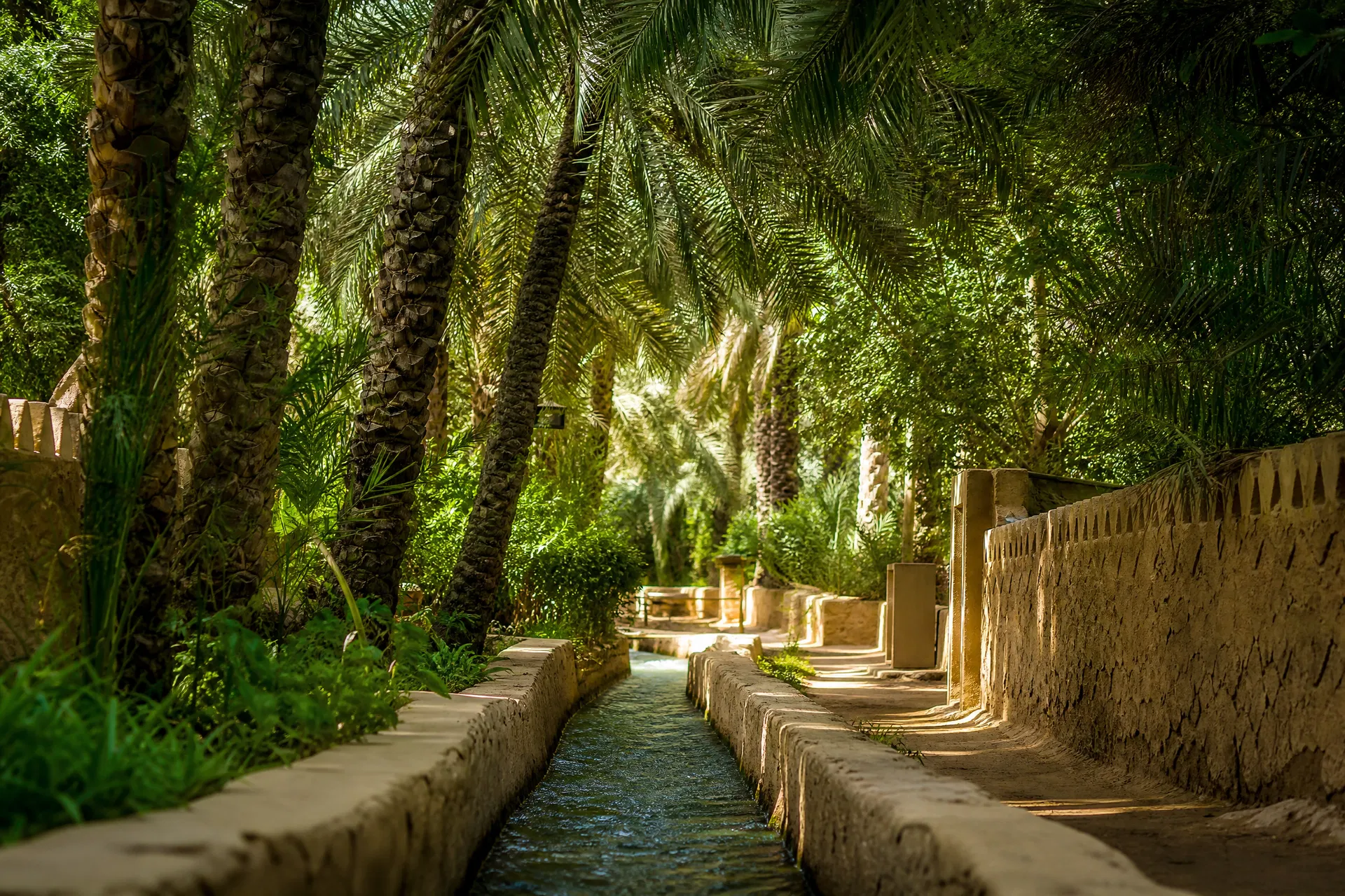Emirates: Desert, City & Sea 11