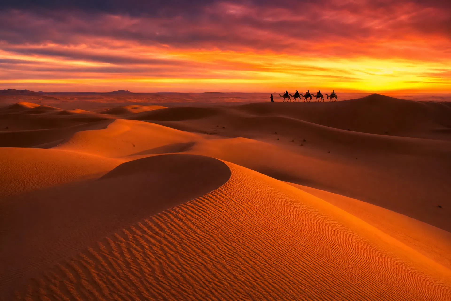 Emirates: Desert, City & Sea 4