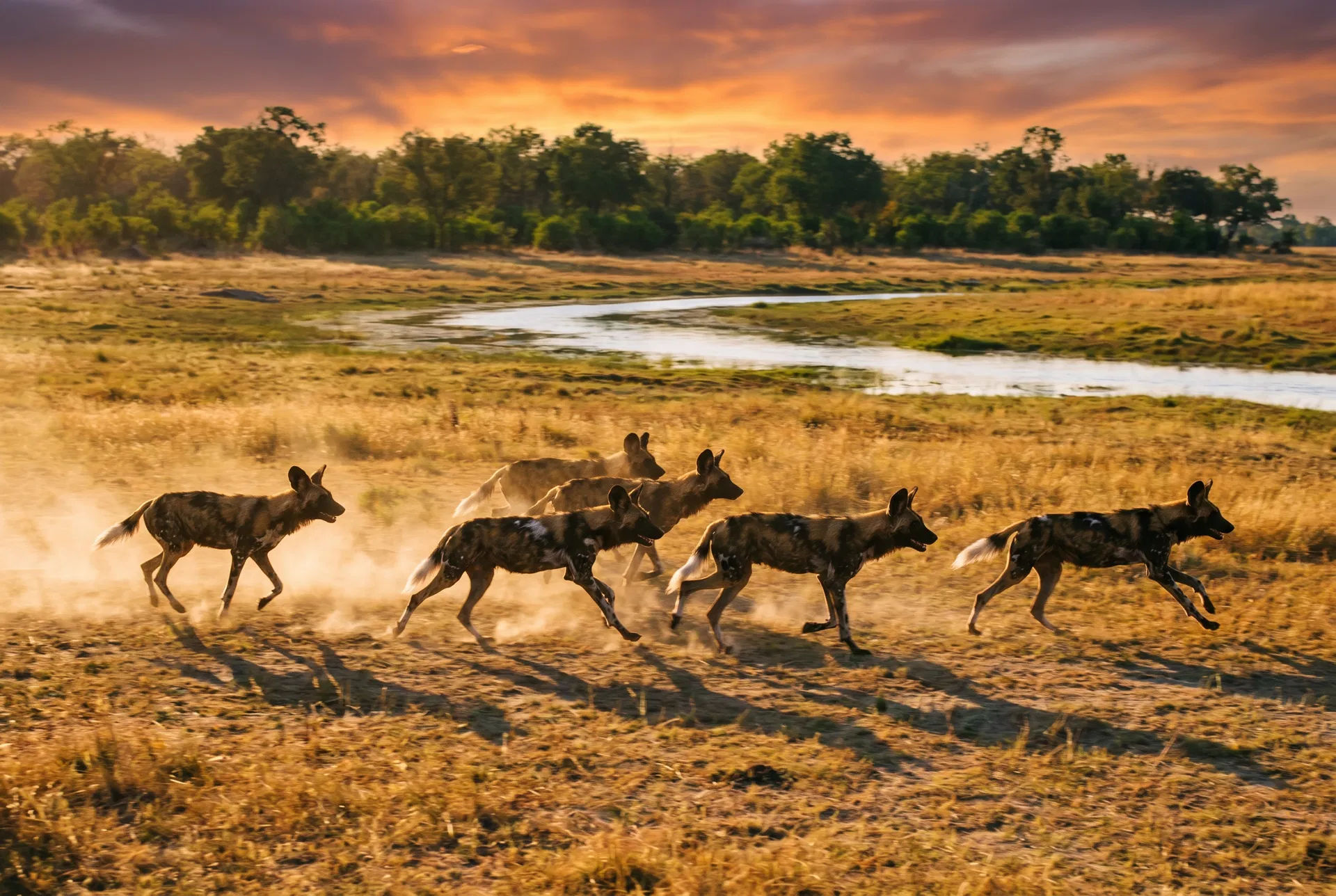 Namibia & Botswana: Ultimate Wilderness Safari 11
