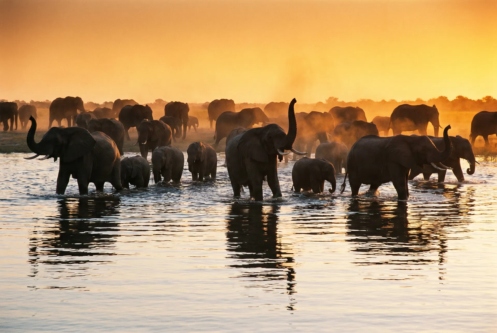 Namibia & Botswana: Ultimate Wilderness Safari 13