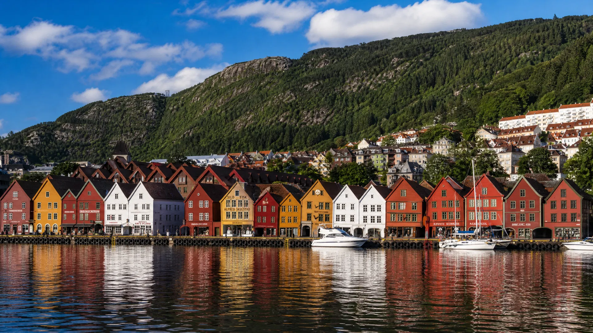 Journey Through Norway 8