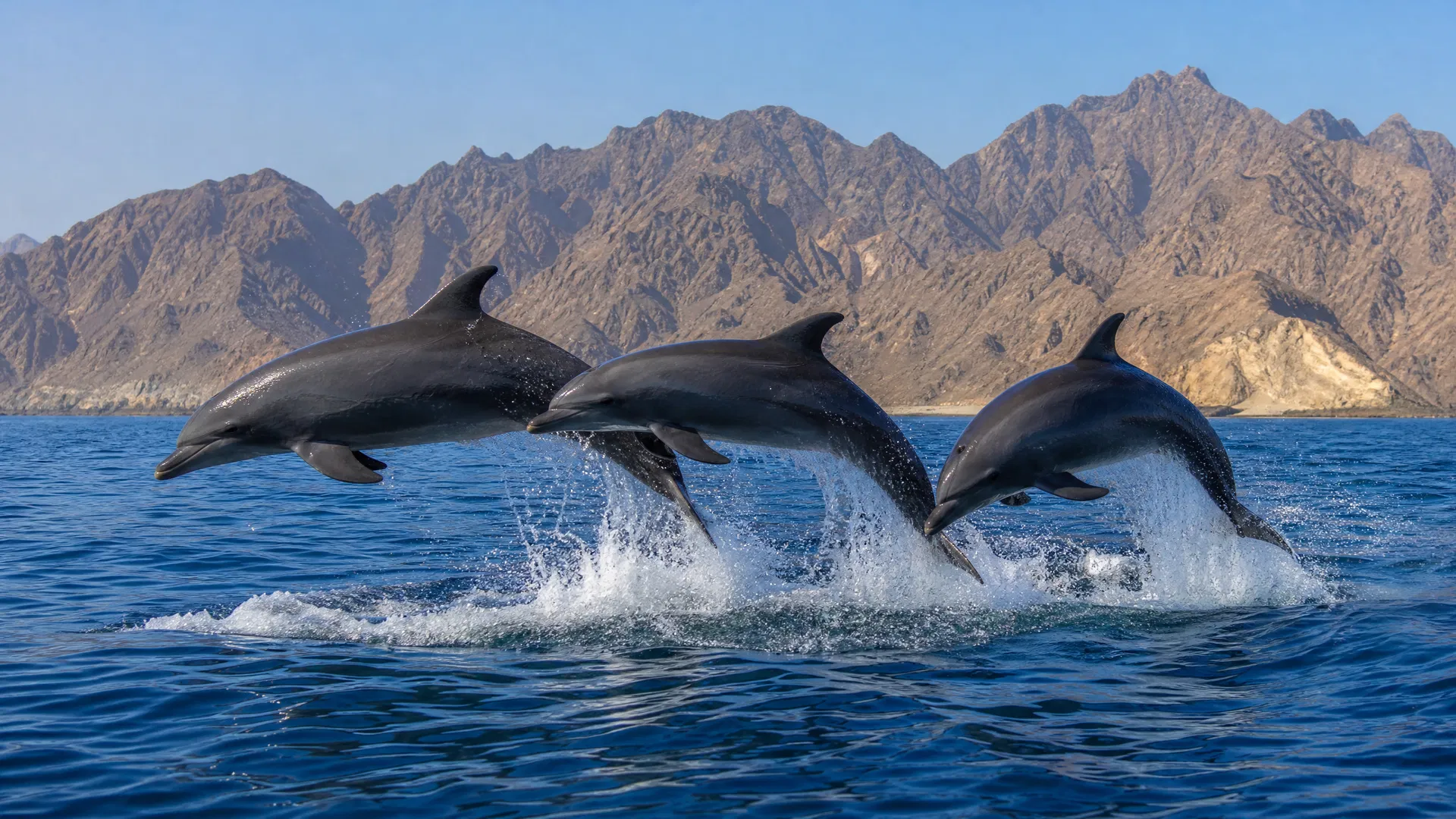 Treasures of Oman 13