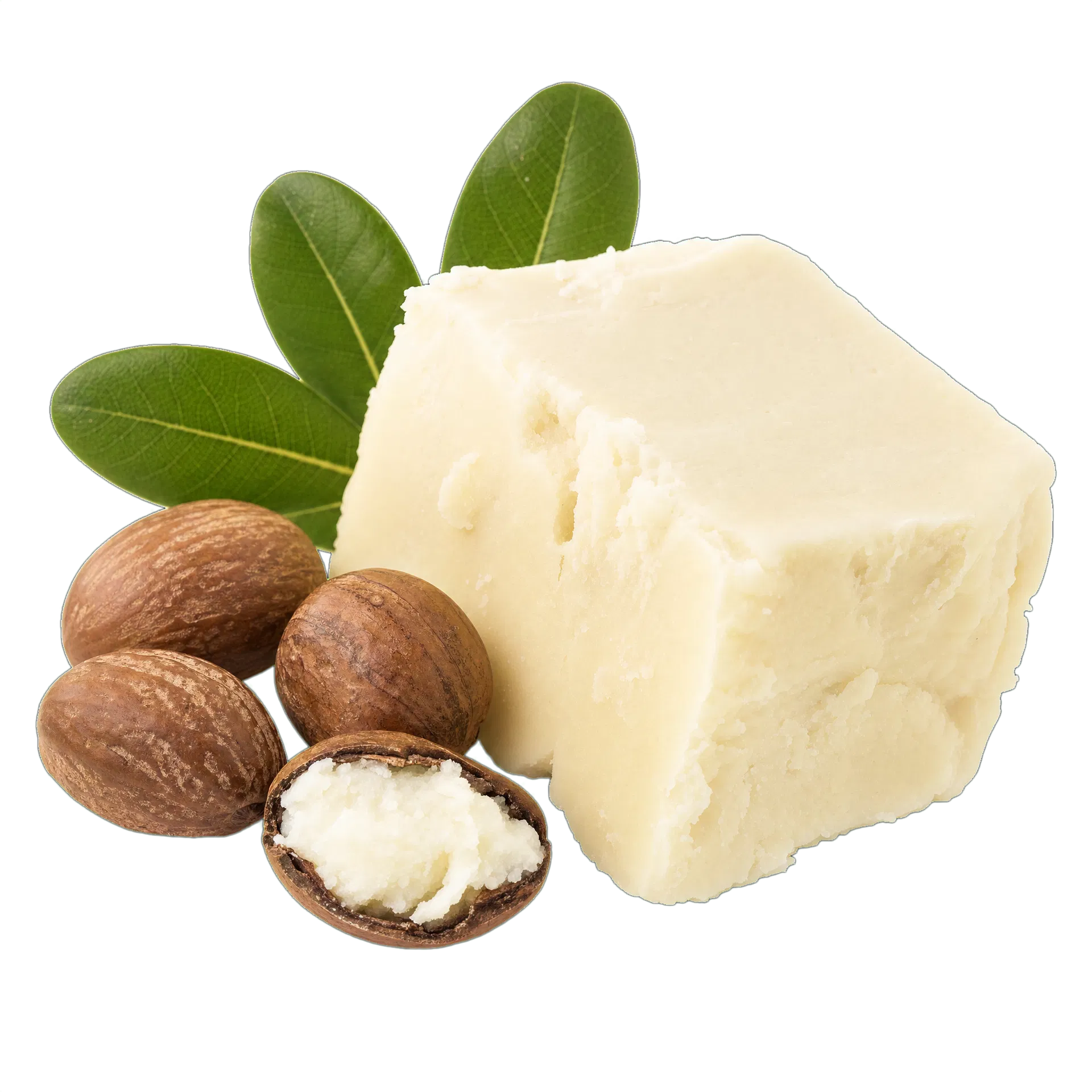 Shea Butter