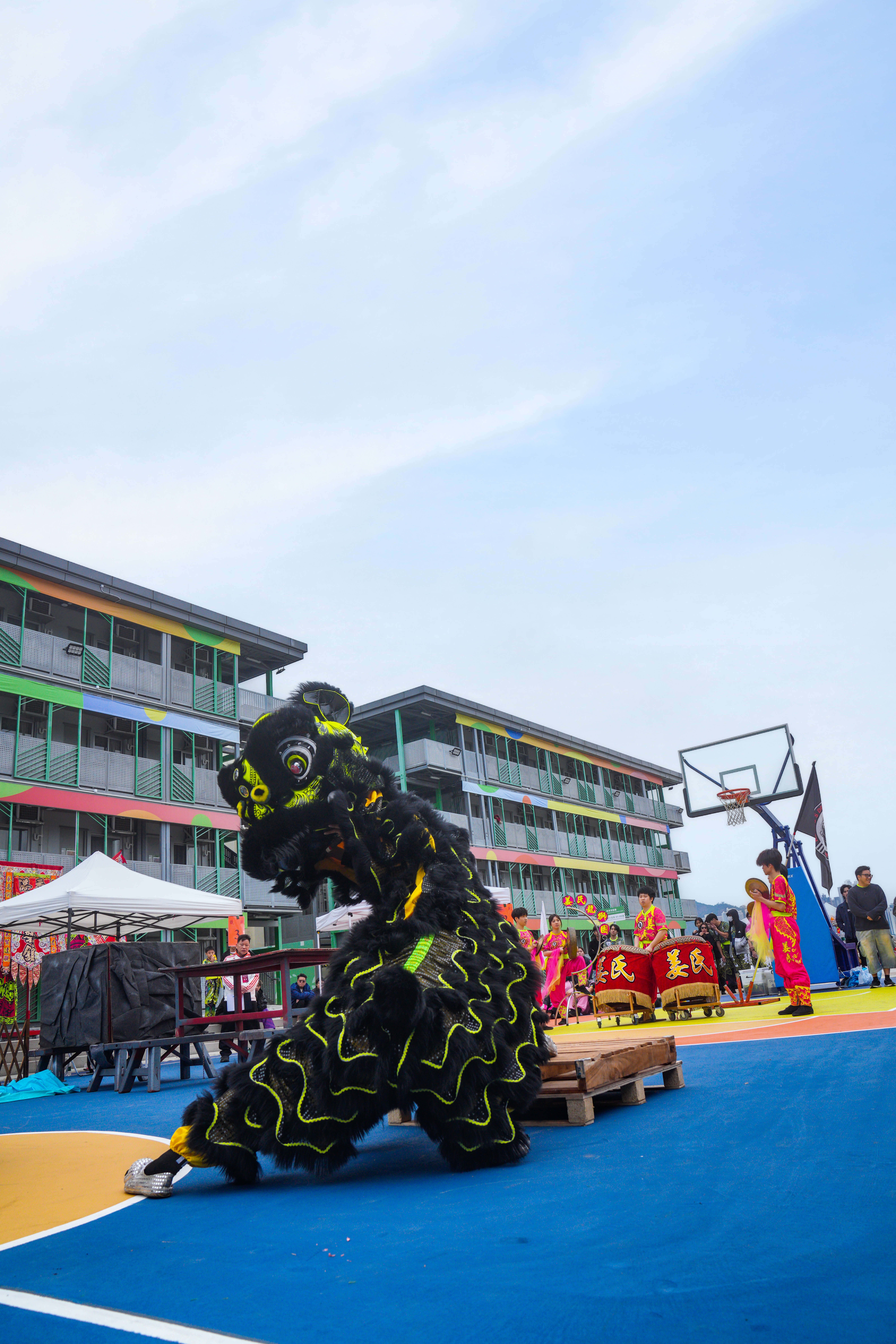 🦁 Mighty Lions, Mighty Spirit! 🏮