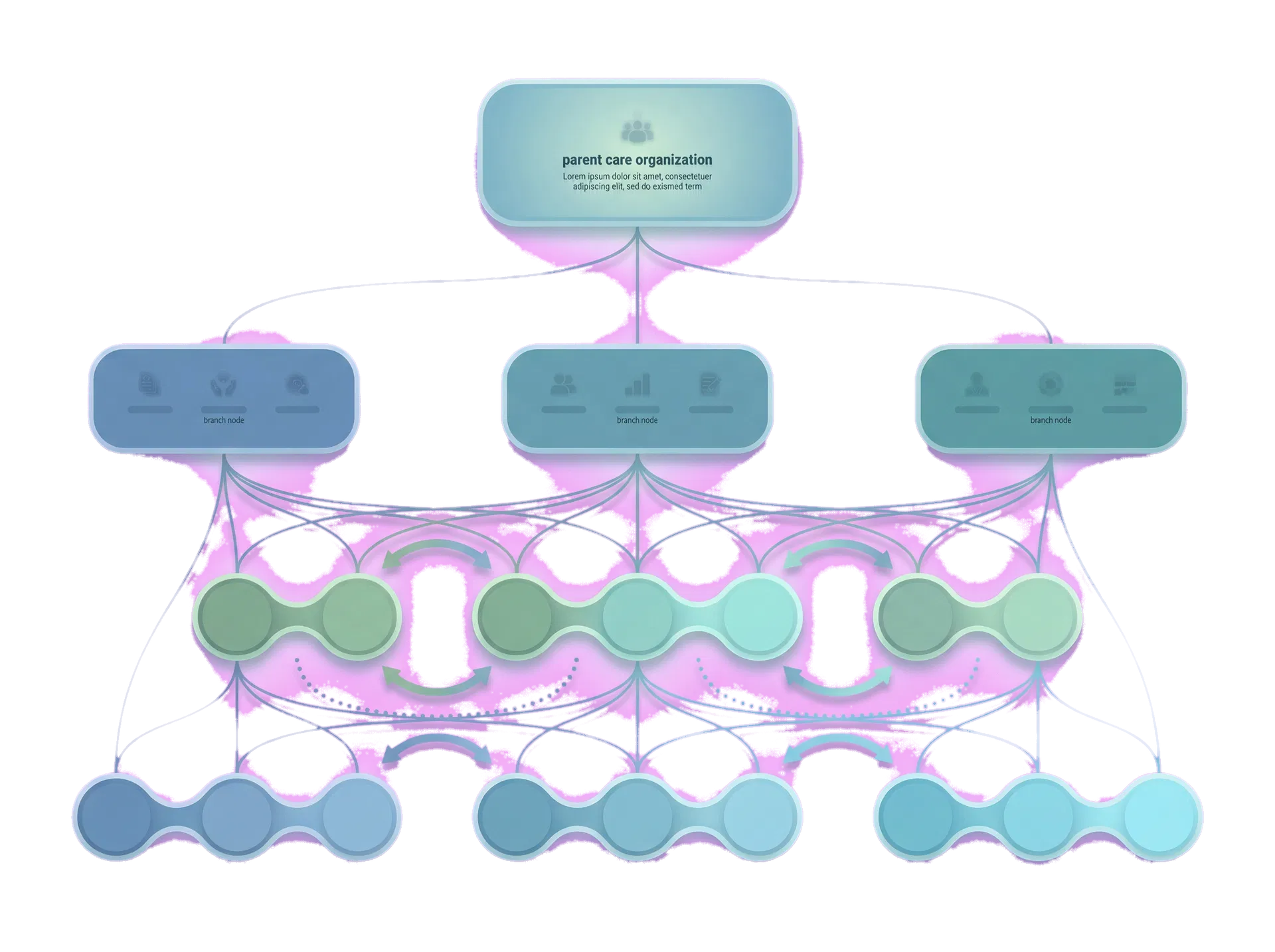 Infographic showing enterprise structure with leadership, branches, and operating links.