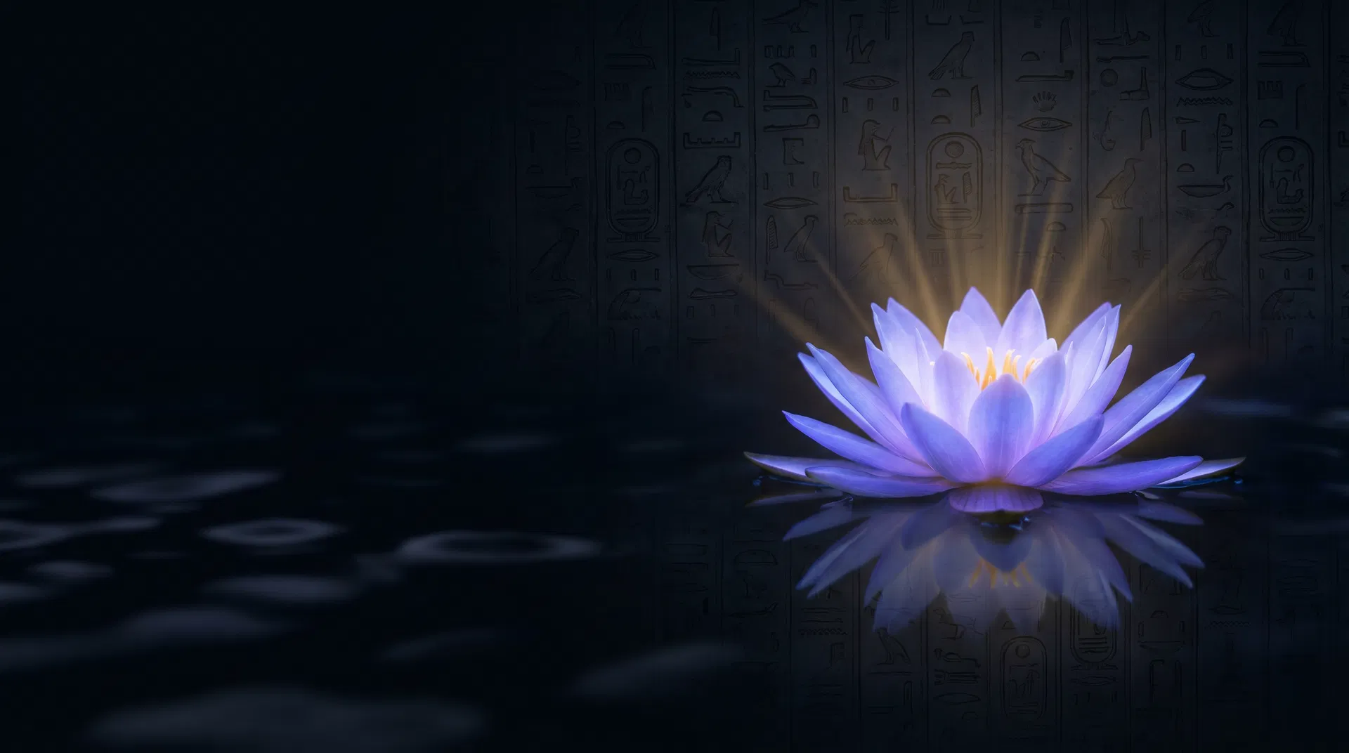 KEMI Blue Lotus