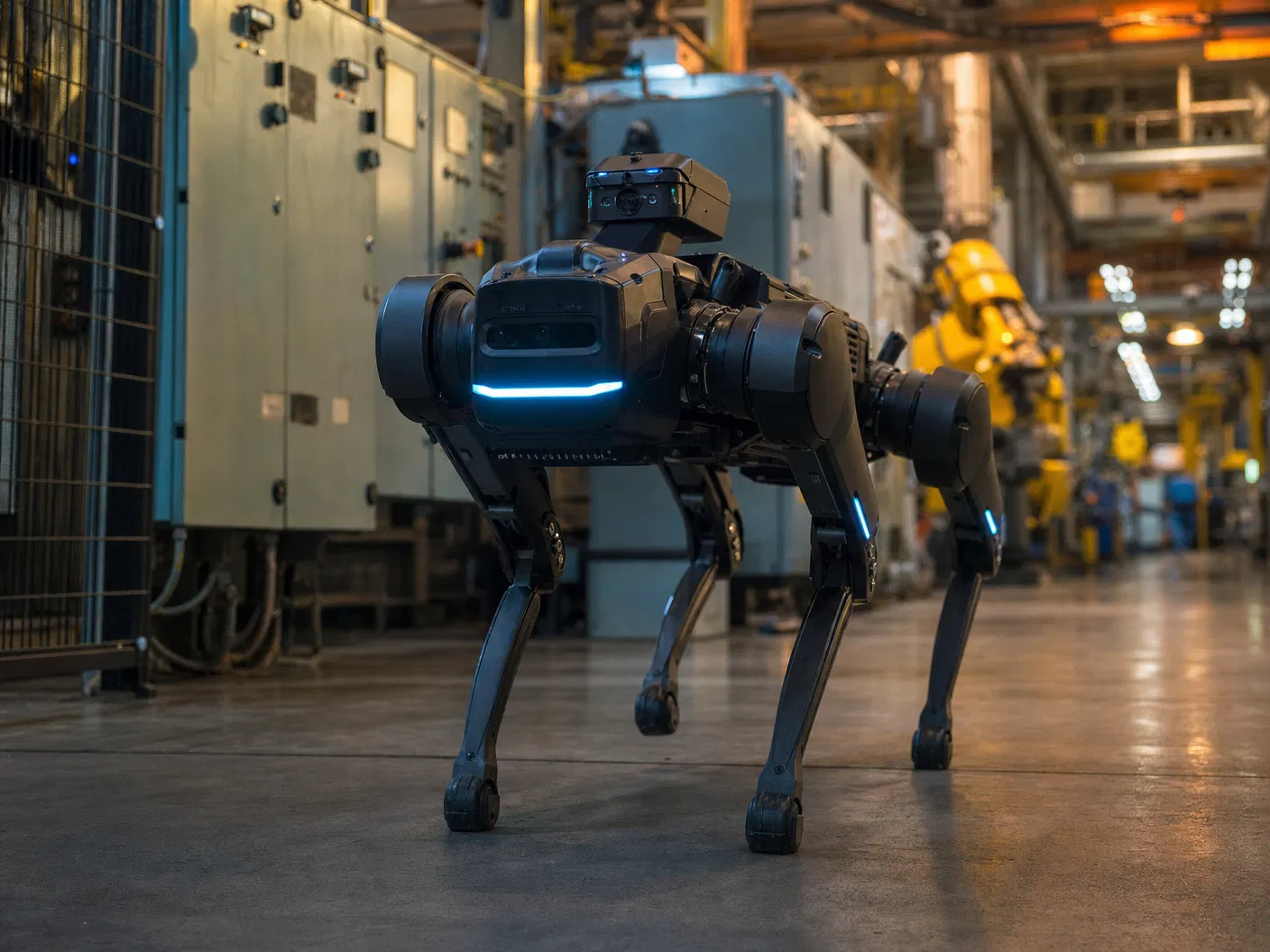 Industrial / Robot Dog Brain
