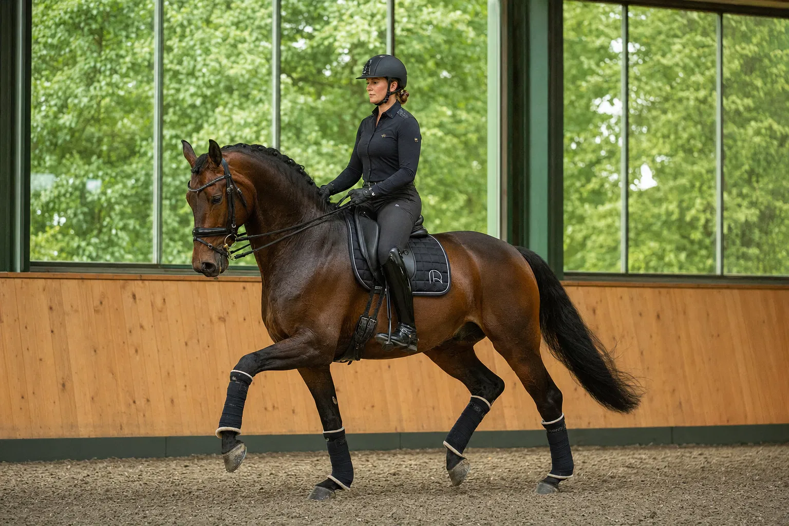 Trainers horse nutrition — GFS Stress Free Feed